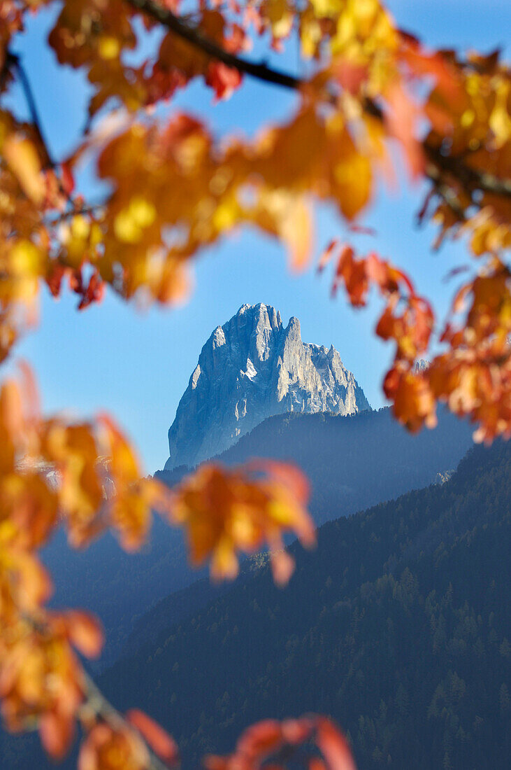 Autumn in the mountains, Lajen, Sellastock massif, Dolomites, South Tyrol, Trentino-Alto Adige, Italy