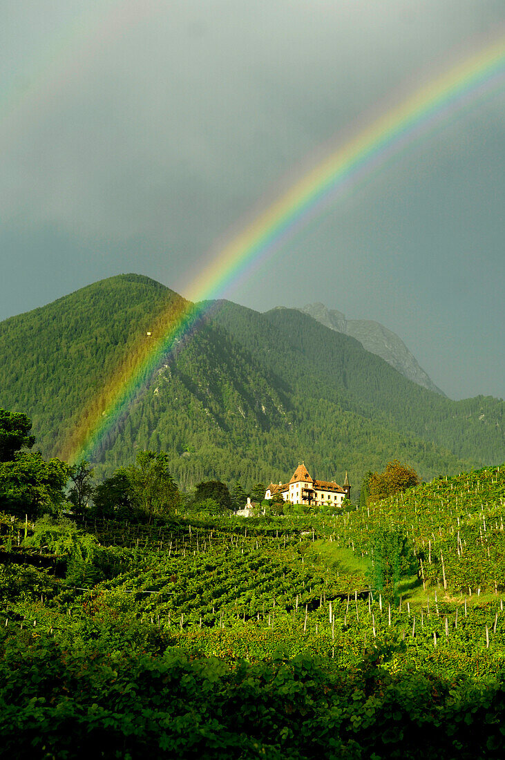 Regenbogen über Weinfeldern, Obermais, Meran, Alto Adige, Südtirol, Italien, Europa