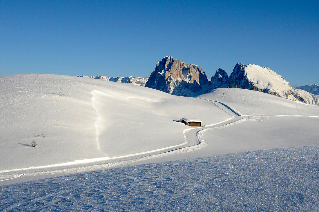 Langlaufloipe in sonniger Winterlandschaft, Seiseralm, Puflatsch, Alto Adige, Südtirol, Italien, Europa