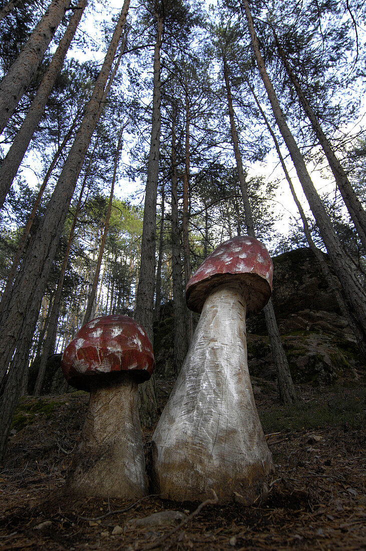 Hölzerne Pilze im Wald, Laranz, Seis am Schlern, Alto Adige, Südtirol, Italien, Europa