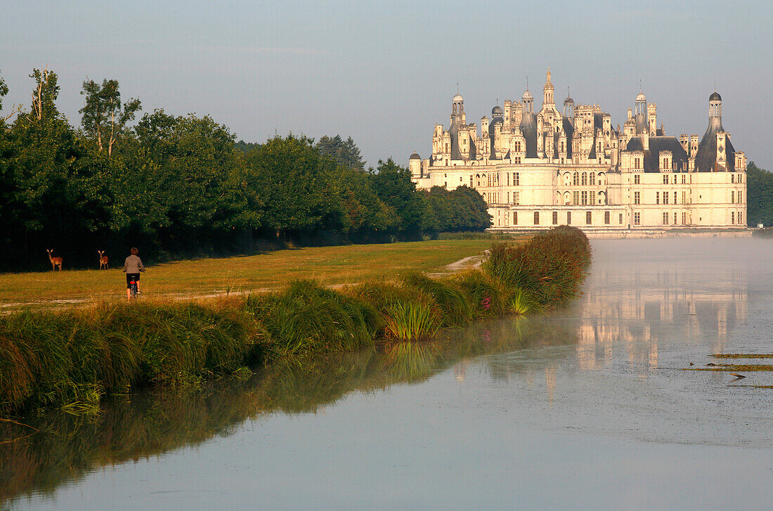 France, Centre Val de Loire, Loir et Cher (41), Chambord castle and canal