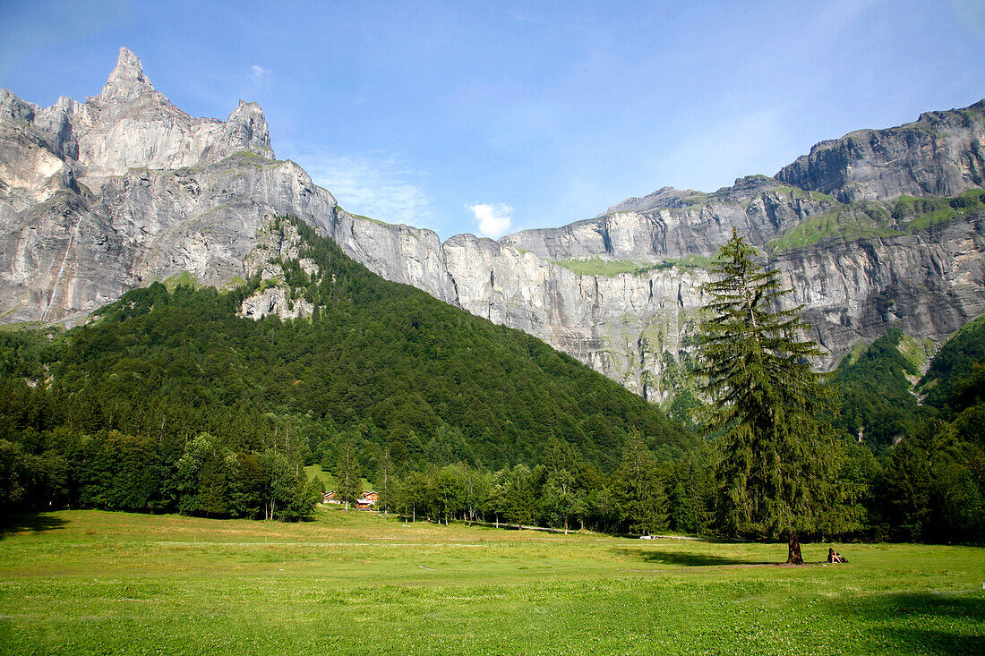 France, Rhone-Alpes, Haute Savoie (74), Sixt-fer-a-Cheval, Fer a Cheval amphitheatre