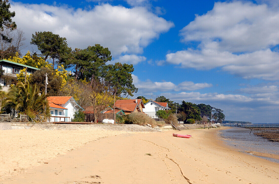 France, Aquitaine, Gironde, Bassin d'Arcachon, Cap Ferret peninsula, L'Herbe, oyster farming village