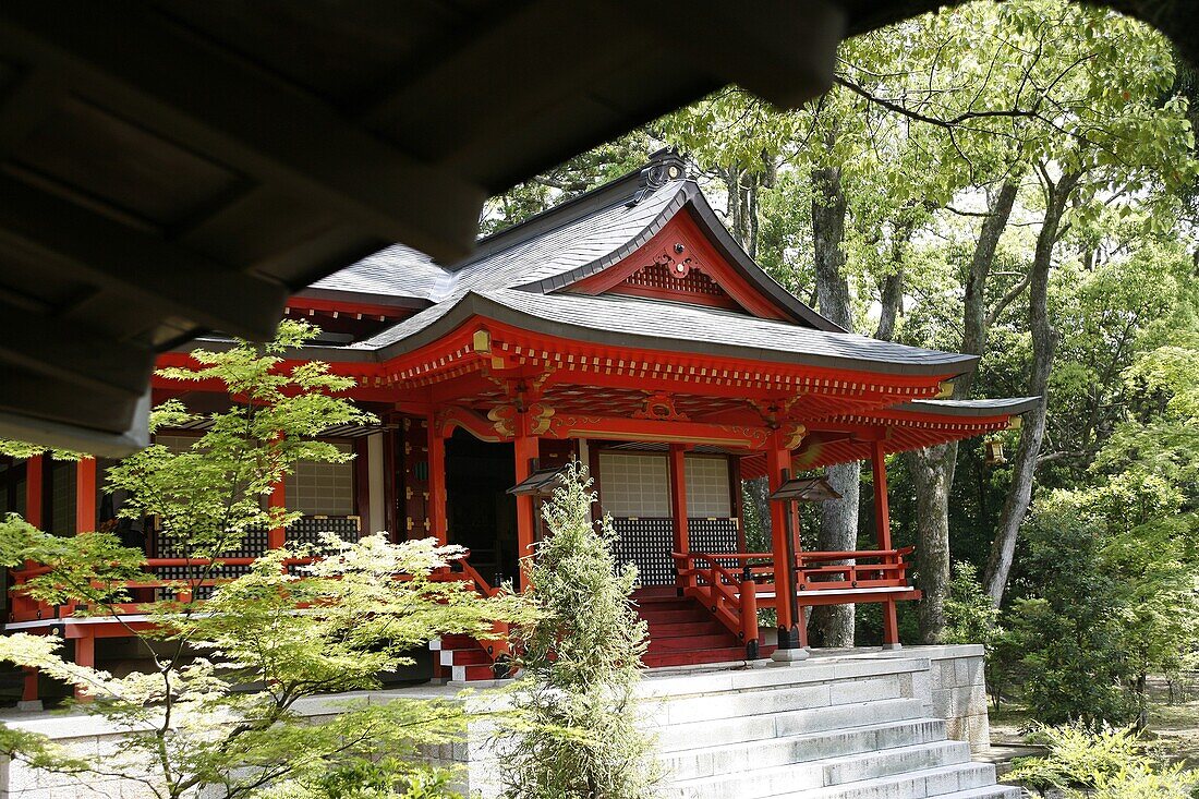 JAPON, KYOTO, Daikakuji temple