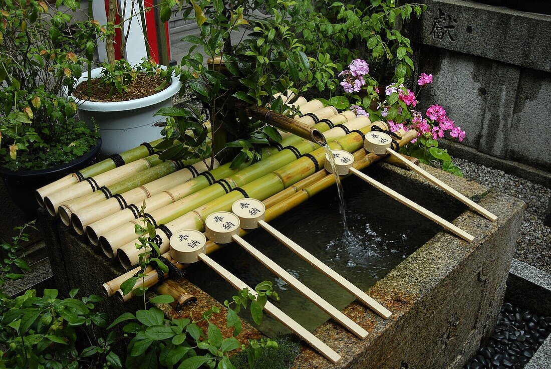 JAPON, TOKYO, Ablution basin at the entrance of a shinto shrine