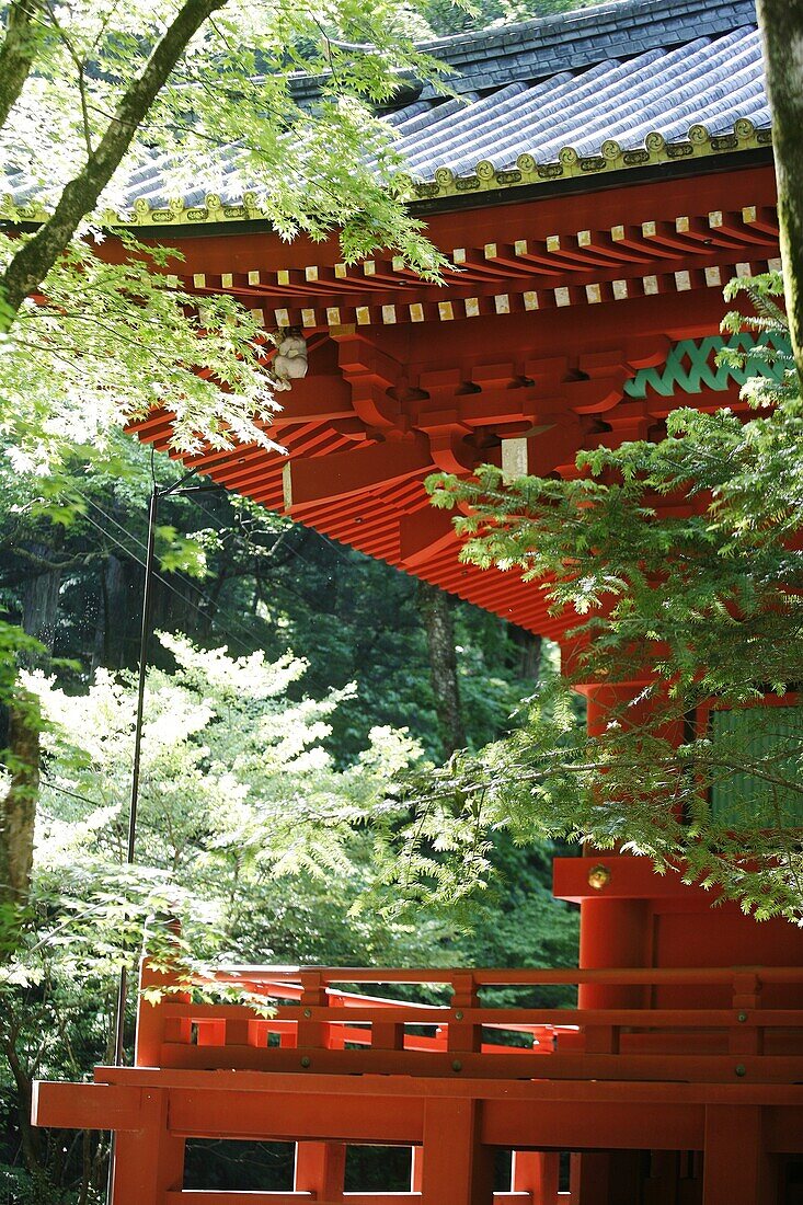 JAPON, NIKKO, Toshogu shrine