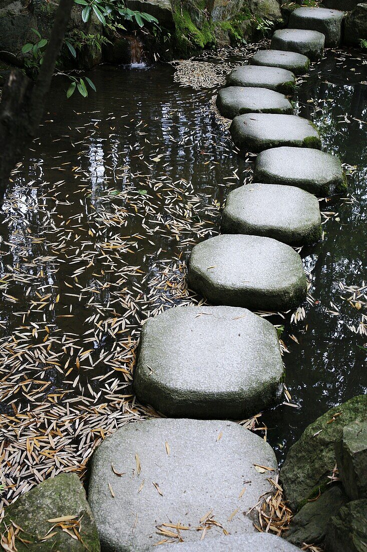 JAPON, KYOTO, Tenjuan wet garden in Nanzen Ji temple