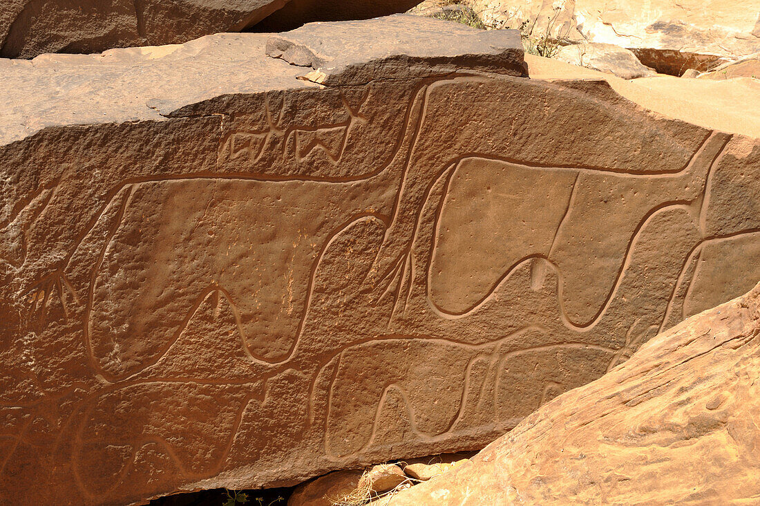 Algeria, Sahara, Grand Erg Occidental, Taghit, Barrebi rock art