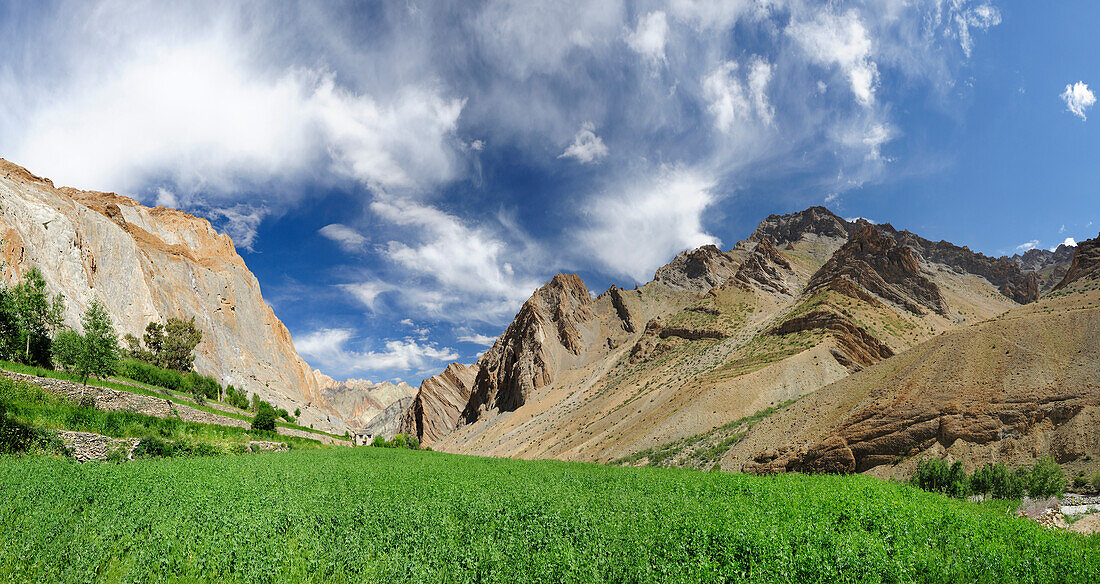 Tal bei Ortschaft Honupatta, Großer Zanskar Trek, Zanskargebirge, Zanskar, Ladakh, Indien