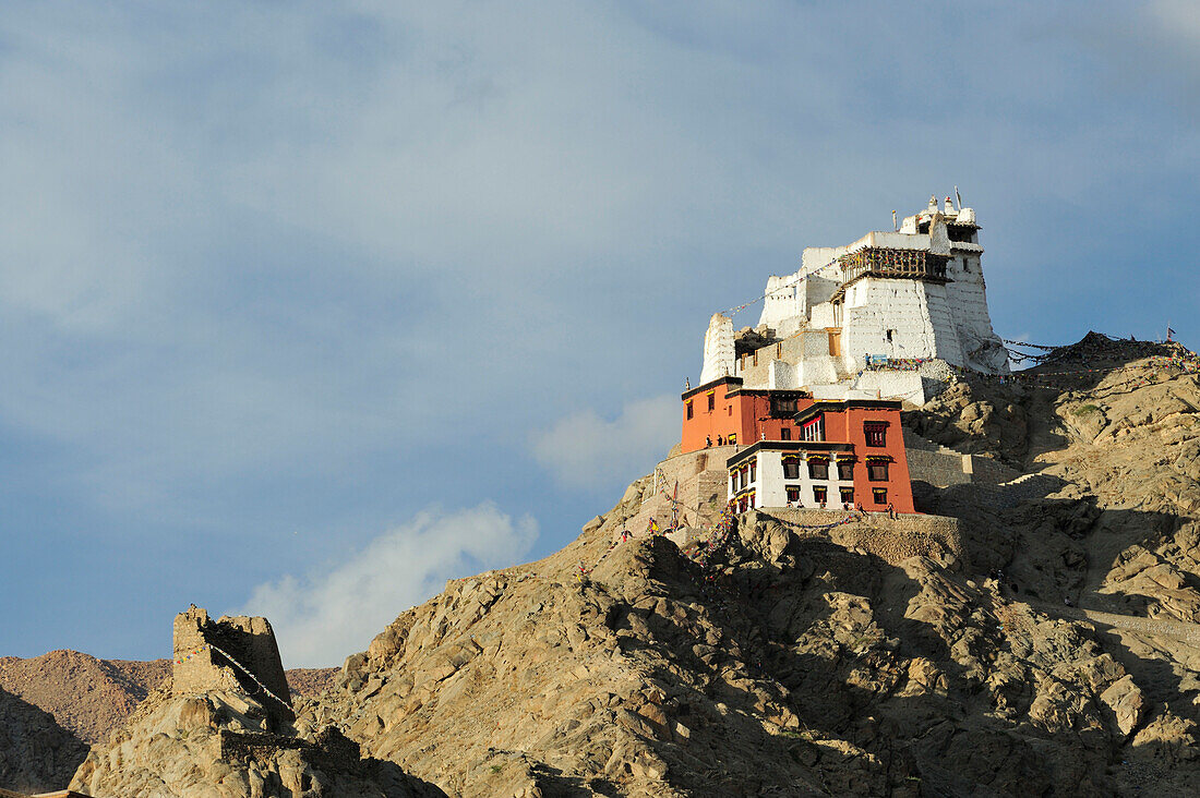 Monastery of Leh, Leh, valley of Indus, Ladakh, Jammu and Kashmir, India