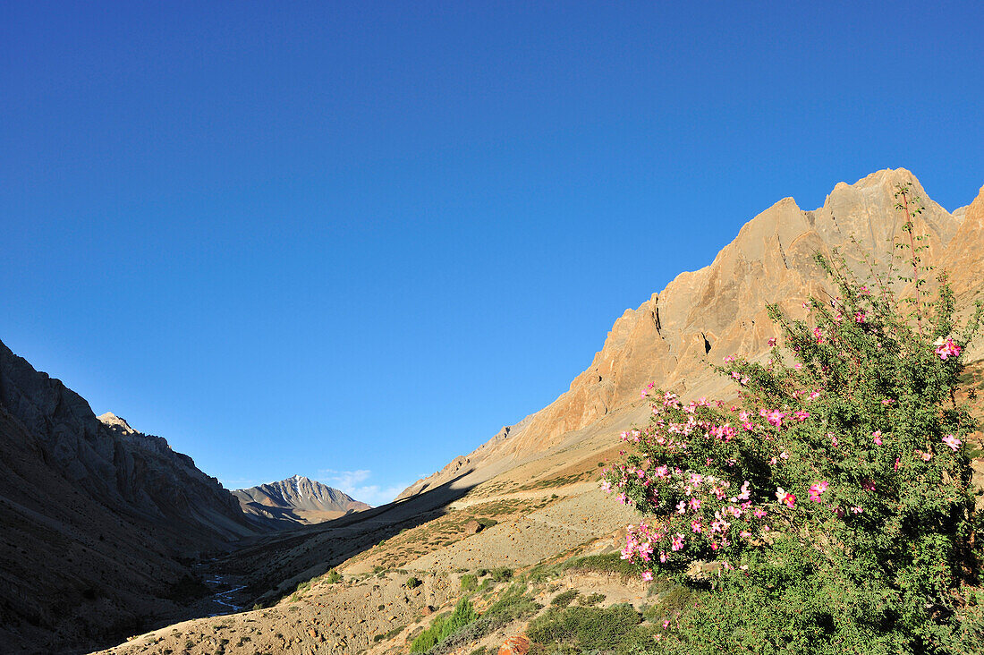 Tal zieht flach hinauf zum Pass, Sirsir La, zwischen Honupatta und Photoksar, Großer Zanskar Trek, Zanskargebirge, Zanskar, Ladakh, Indien