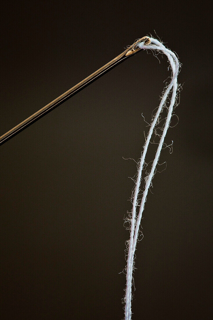 Needle and Thread, Close-Up