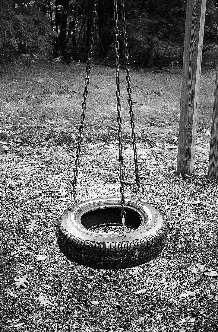 Tire Swing Supported by Three Chains