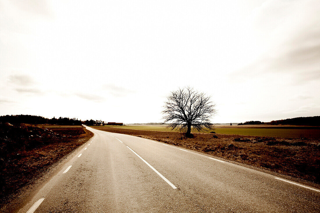 Rural Road and Grey Sky, Sweden