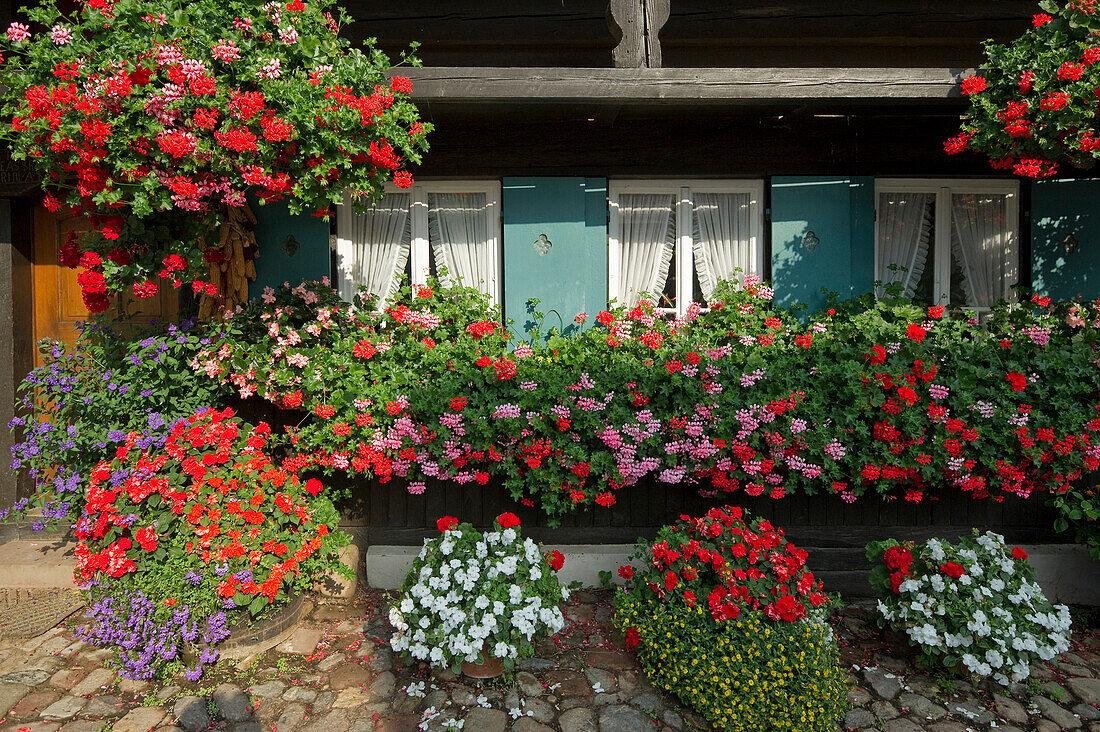 Alter Bauernhof mit Blumenkästen m Glottertal, Schwarzwald, Baden-Württemberg, Deutschland