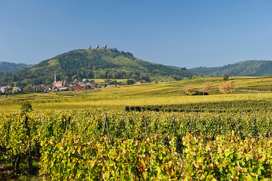 Les Trois Chateaux, Die Drei Exen, Eguisheim, in der Nähe von Colmar, Elsass, Frankreich