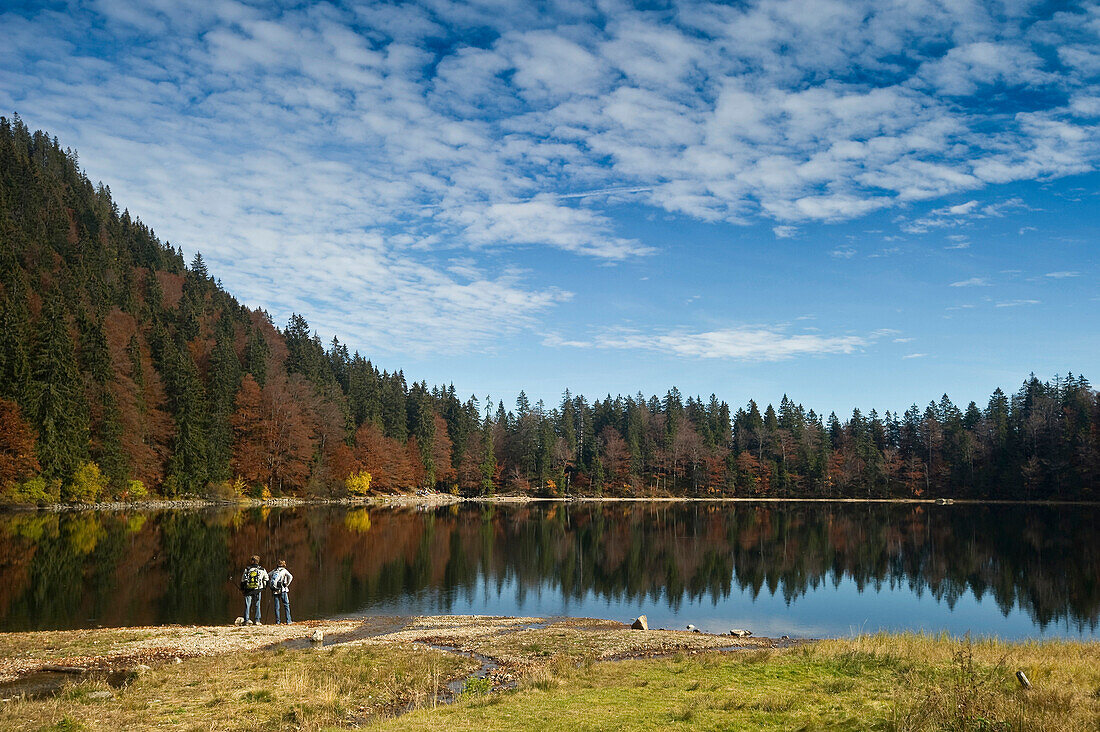 Spiegelung der Berge im See, Feldsee, Feldberg, Schwarzwald, Baden-Württemberg, Deutschland