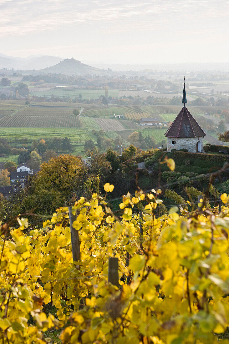 Ehrentrudiskapelle, Markgräflerland, nahe Freiburg im Breisgau, Schwarzwald, Baden-Württemberg, Deutschland