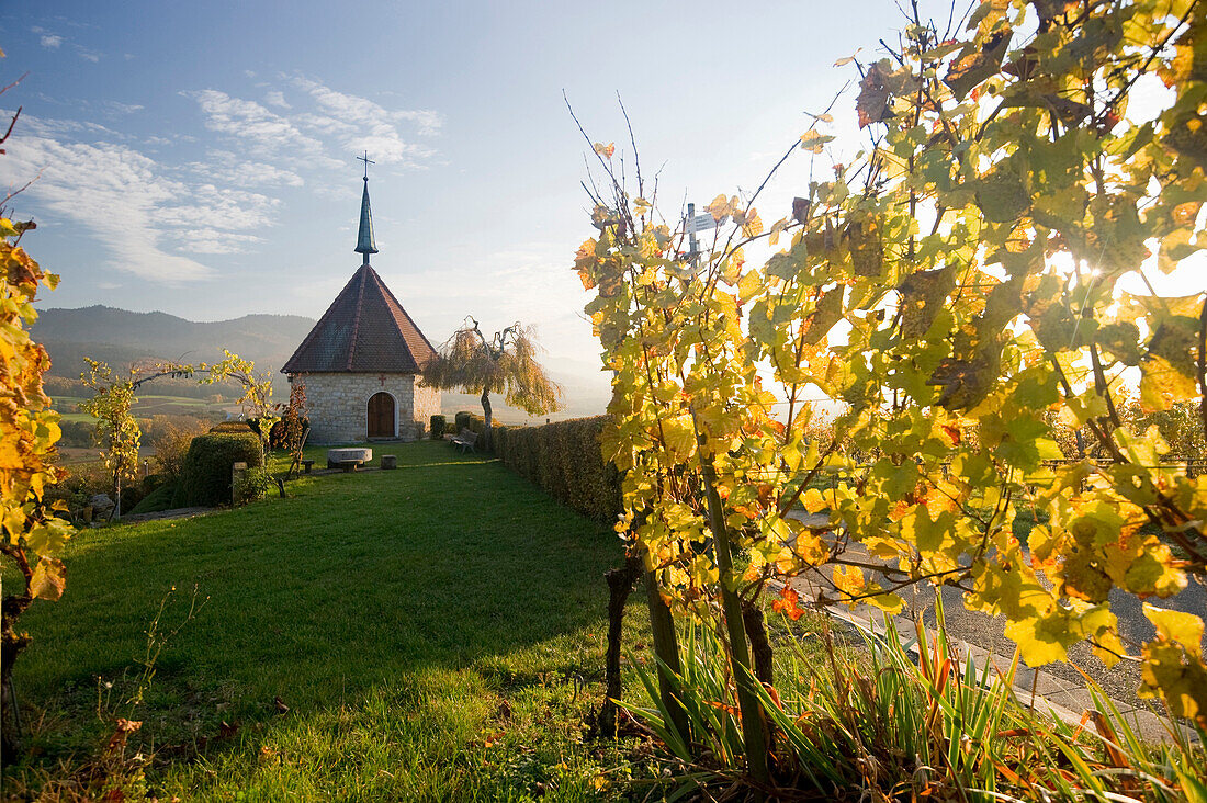 Ehrentrudis chapel, Markgraflerland, near Freiburg im Breisgau, Black Forest, Baden-Wurttemberg, Germany