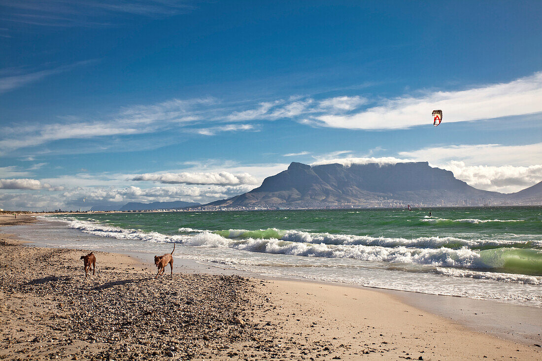 Strandimpression am Bloubergstrand mit Blick auf den Tafelberg und Kapstadt, Westkap, Südafrika, RSA, Afrika