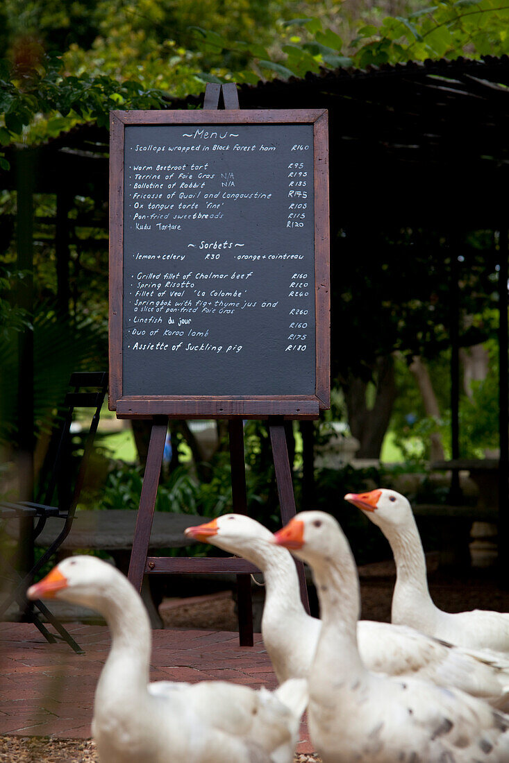 Impression at Restaurant, La Colombe, Constantia, Western Cape, South Africa, RSA, Africa