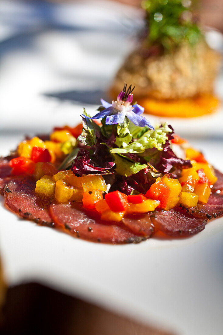 Carpaccio of ostrich with confitted peppers and pine nuts vinaigrette and babysalad, Restaurant Bosmans at Grande Roche Hotel, Paarl, Cape Town, Western Cape, South Africa, RSA, Africa