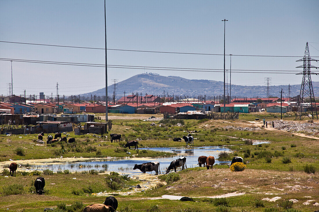 Township Khayelitsha, Cape Town, Western Cape, South Africa