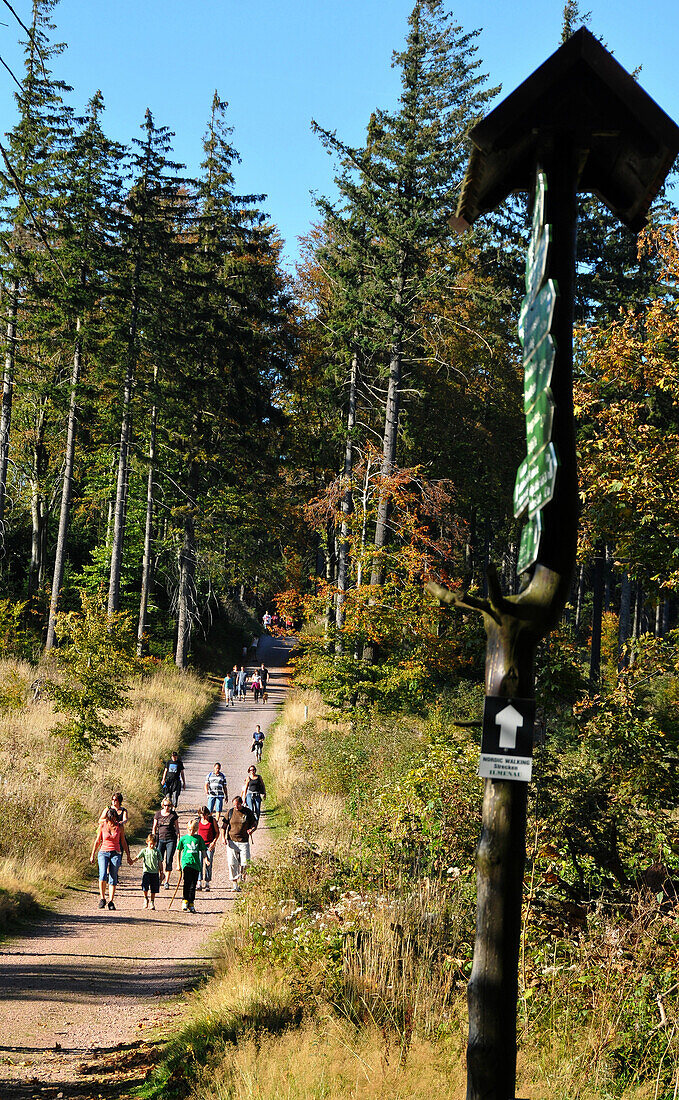 Hiking near Kickelhahn, Goethe trail near Ilmenau, Thuringian Forest, Thuringia, Germany