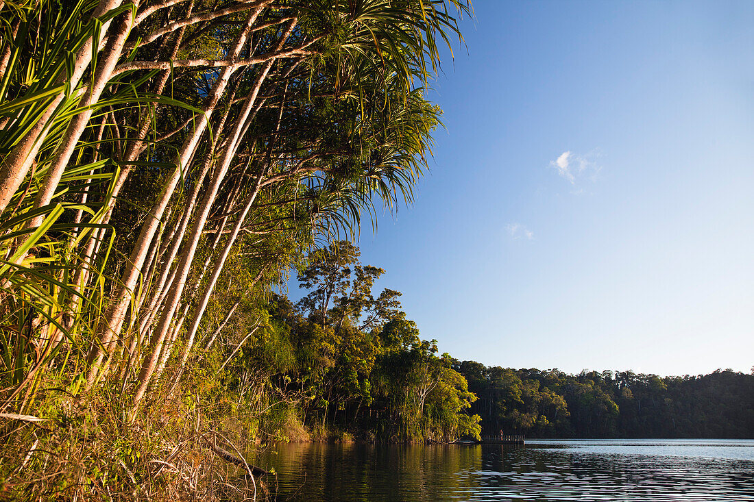 Lake Eacham, Crater Lakes National Park, Atherton Tablelands, Queensland, Australia