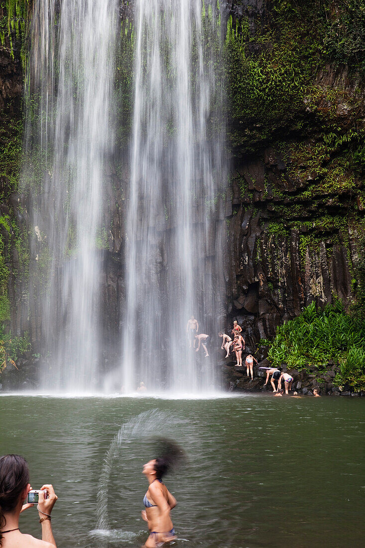 Junge Leute baden am Millaa Millaa Wasserfall, Atherton Tablelands, Queensland, Australien