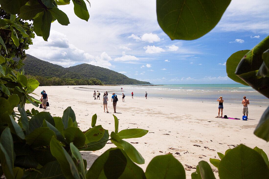 Menschen am Sandstrand am Cape Tribulation, Pazifischer Ozean, Nord Queensland, Australien