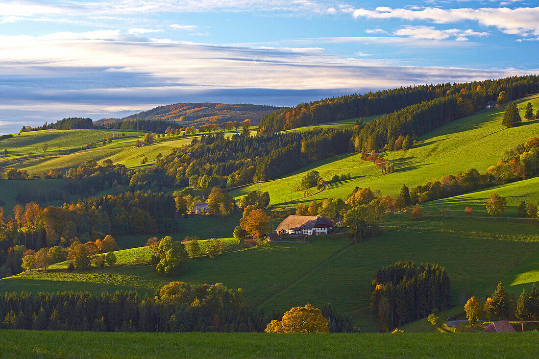 Autumn evening near St Maergen, Southern part of Black Forest, Black Forest, Baden-Wuerttemberg, Germany, Europe