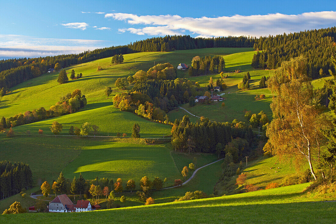 Herbstabend bei St Märgen, Südschwarzwald, Schwarzwald, Baden-Württemberg, Deutschland, Europa