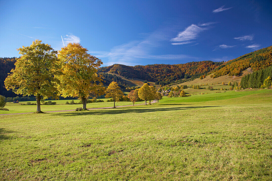 Bernau Hof in Autumn, Southern part of Black Forest, Black Forest, Baden-Wuerttemberg, Germany, Europe