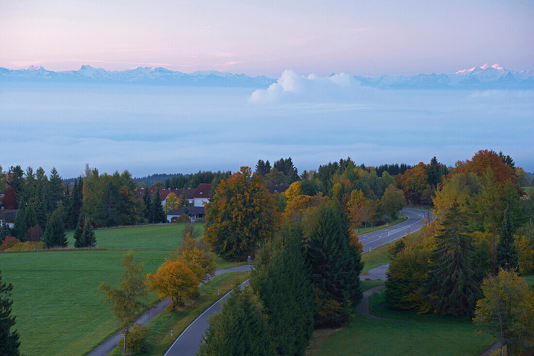 View from Hoechenschwand towards the Swiss Alps, Autumn morning, Sunrise, Southern part of Black Forest, Black Forest, Baden-Wuerttemberg, Germany, Europe