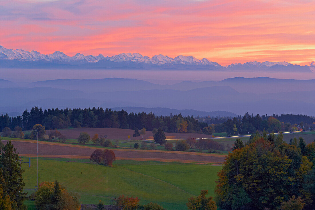 View from Hoechenschwand towards the Swiss Alps, Autumn Evening, Sunset, Southern part of Black Forest, Black Forest, Baden-Wuerttemberg, Germany, Europe
