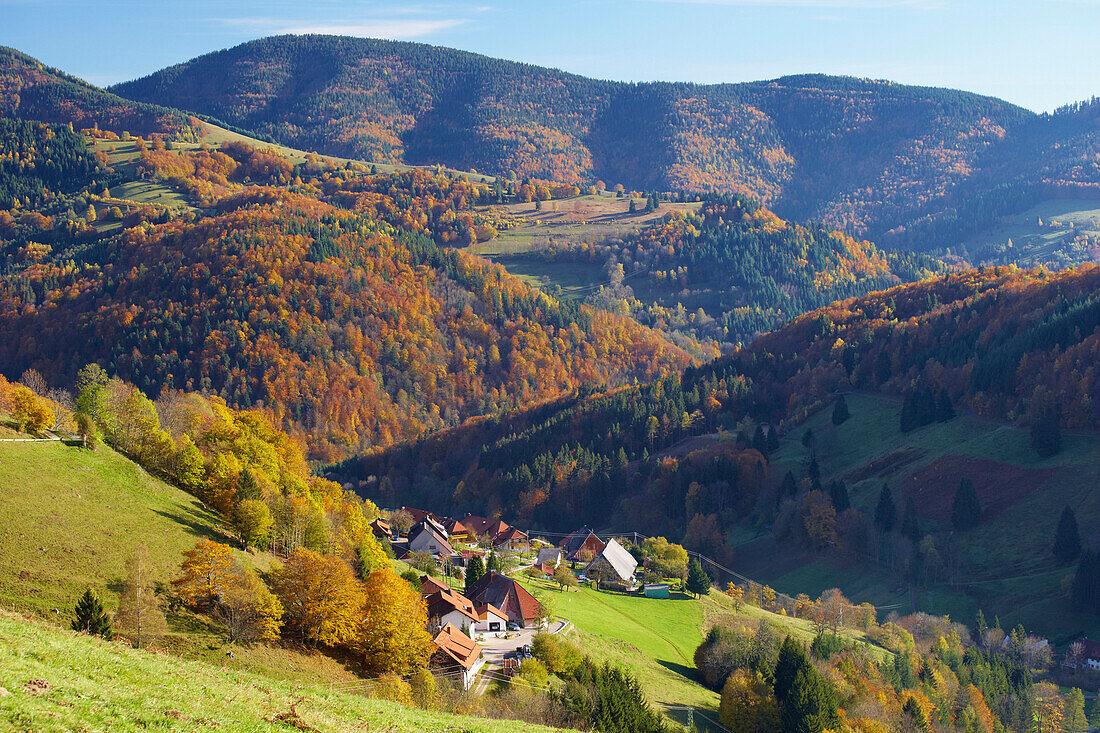 Autumn in Schoenau-Aitern, Wiesental, Southern part of Black Forest, Black Forest, Baden-Wuerttemberg, Germany, Europe
