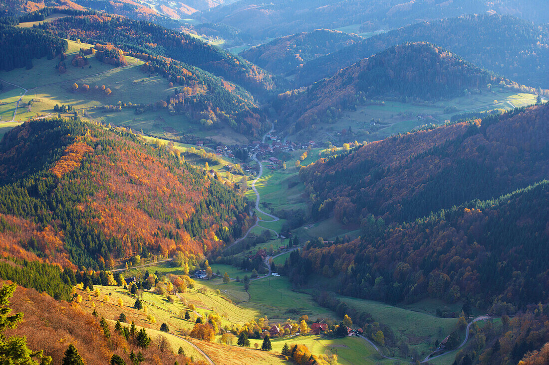 Blick vom Belchen über das Kleine Wiesental Richtung Schweizer Alpen, Herbst, Südschwarzwald, Schwarzwald, Baden-Württemberg, Deutschland, Europa
