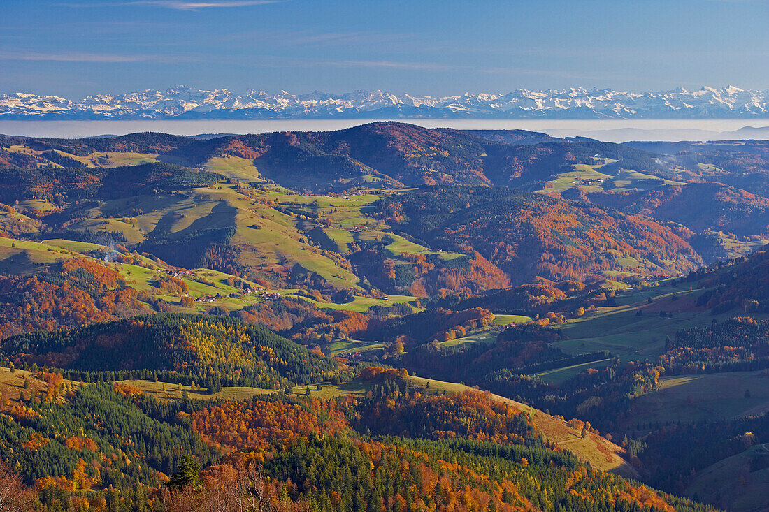 View from Belchen mountain towards the Swiss Alps, Autumn, Southern part of the Black Forest, Black Forest, Baden-Wuerttemberg, Germany, Europe