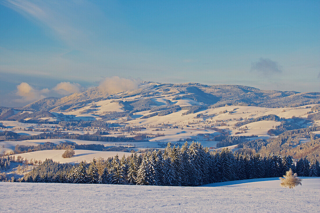 View on a winters day from Breitnau-Fahrenberg towards Kandel mountain and St Peter, Black Forest, Baden-Wuerttemberg, Germany, Europe