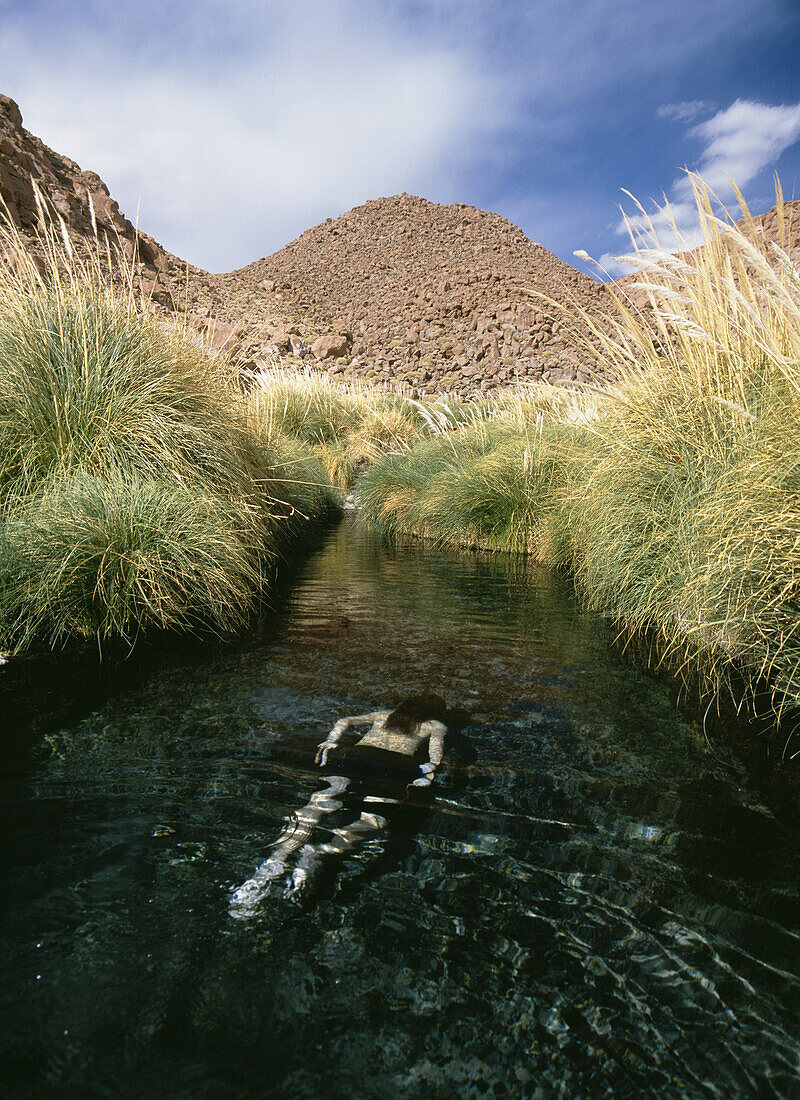 Man swimming in hot stream at Puritama, Puritama, near San Pedro de Atacama, Chile