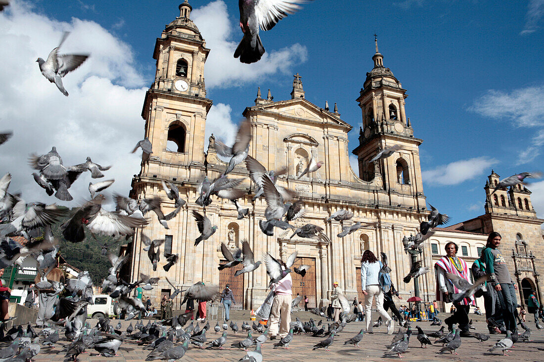 Pigeon flying away in front of Primate Cathedral, Bogota, Colombia