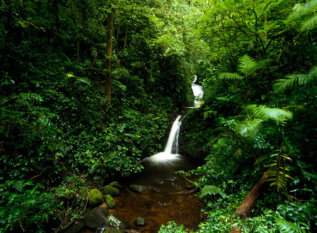 Waterfall in Monteverde Cloud Forest Reserve, Costa Rica