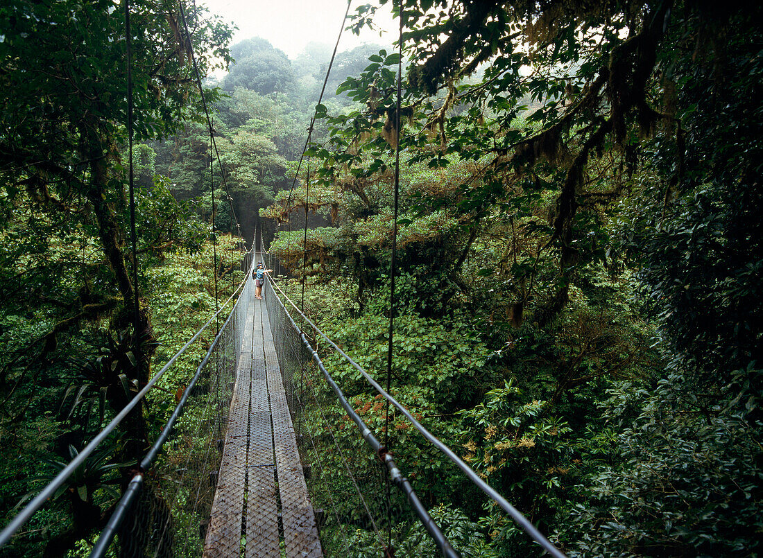 People on Skywalk through Monteverde Cloud Forest Reserve, Costa Rica