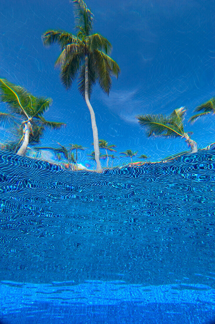 Looking up at palm trees from underwater in swimming pool, Punta Cana, Dominican Republic