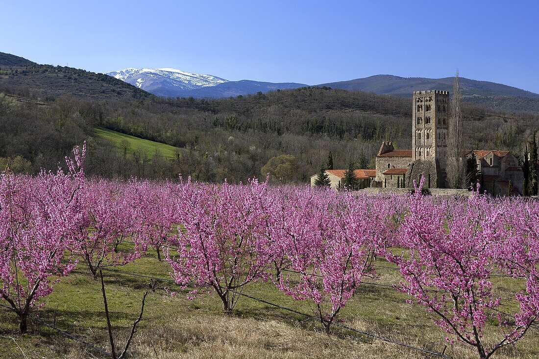 France, Roussillon, Pyrenées Orientales, Saint Michel de Cuxa abbey