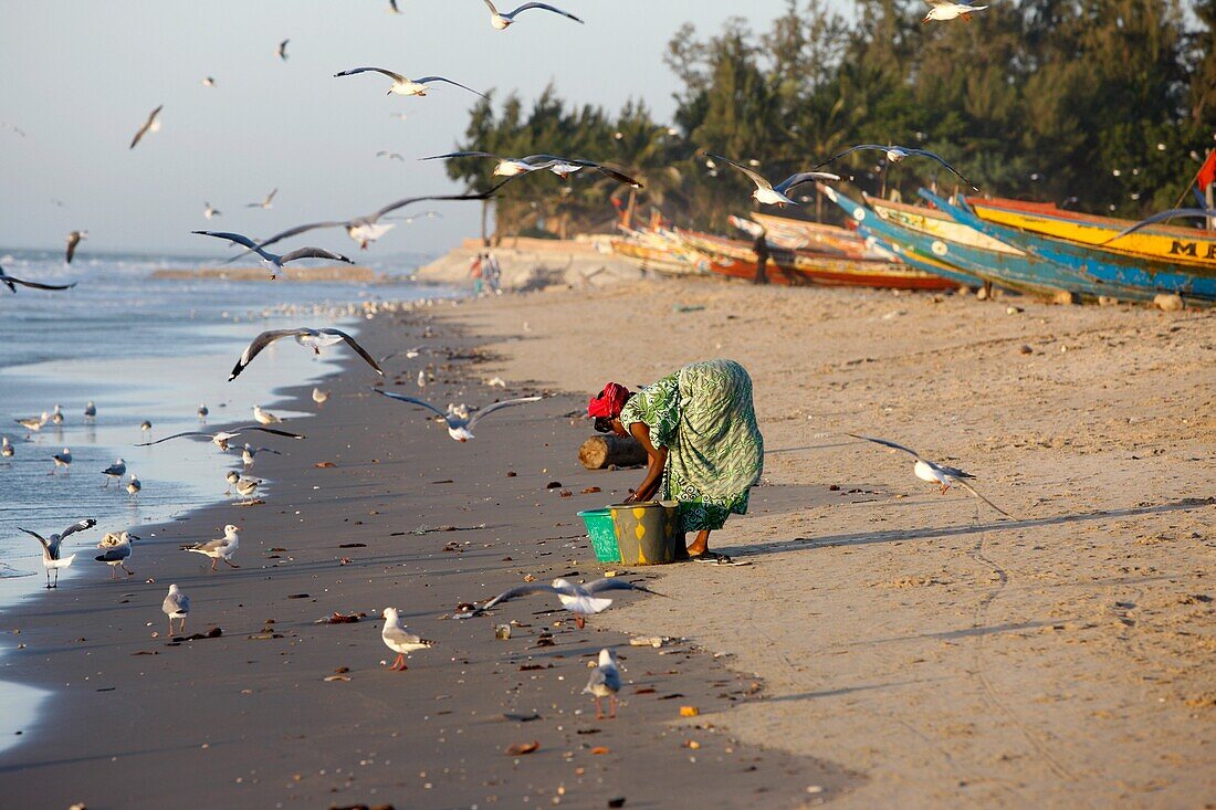 Sénégal, Kafountine, Woman washing fish