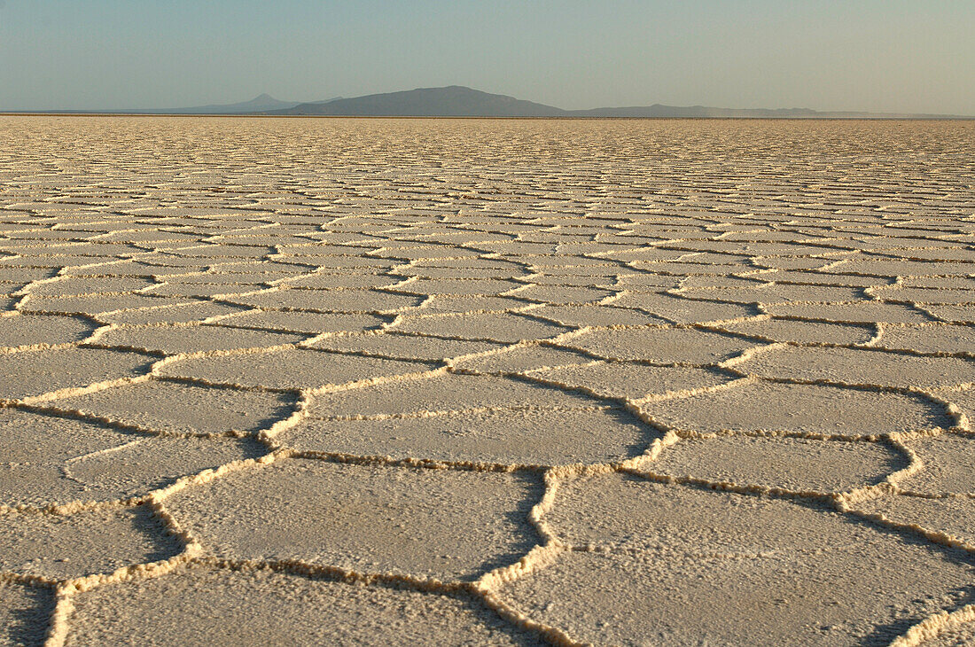 Ethiopia, Danakil depression, salt crust