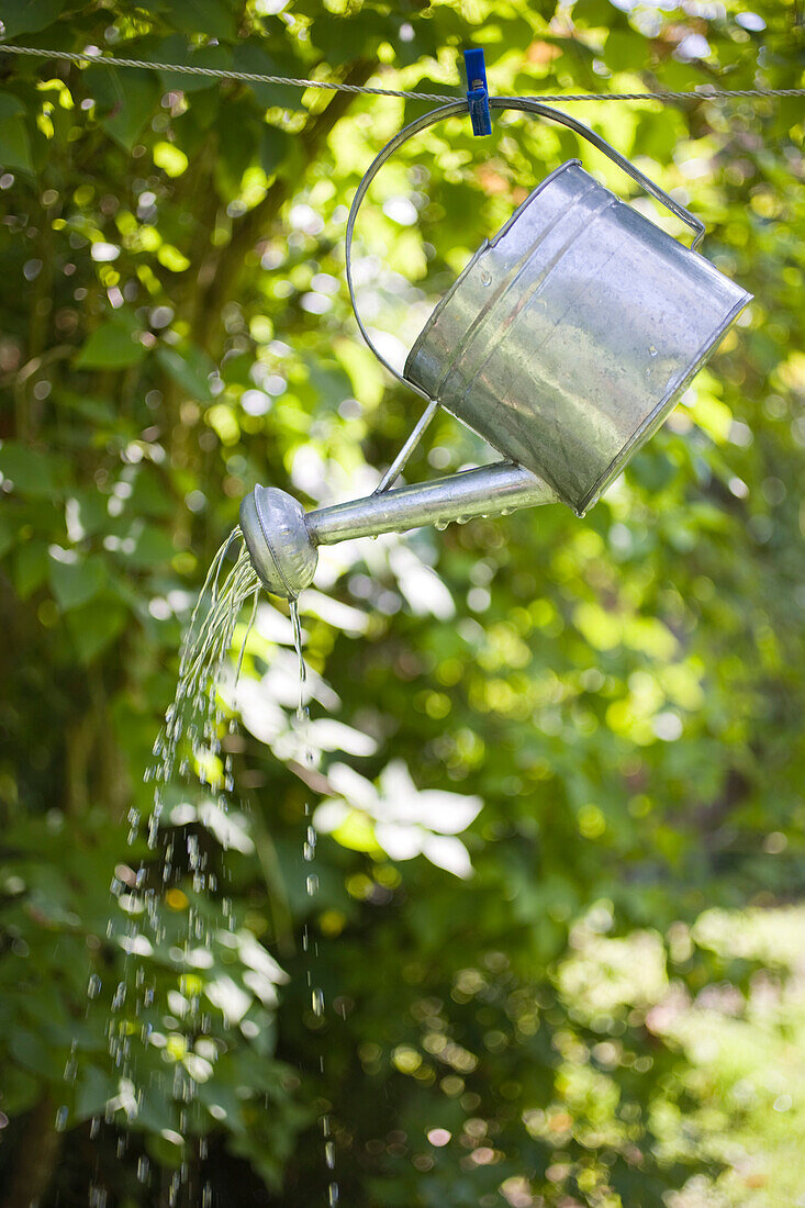 Hanging watercan, water throwing