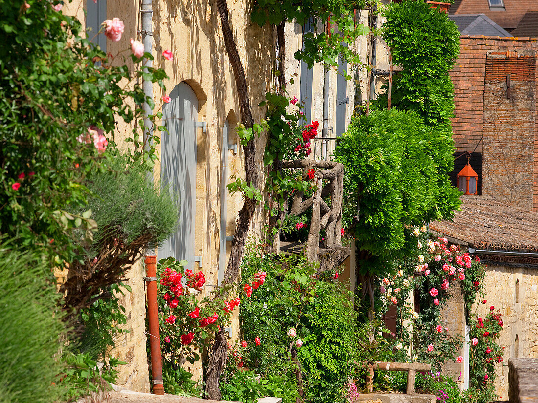 France, Aquitaine, Dordogne, Beynac et Cazenac